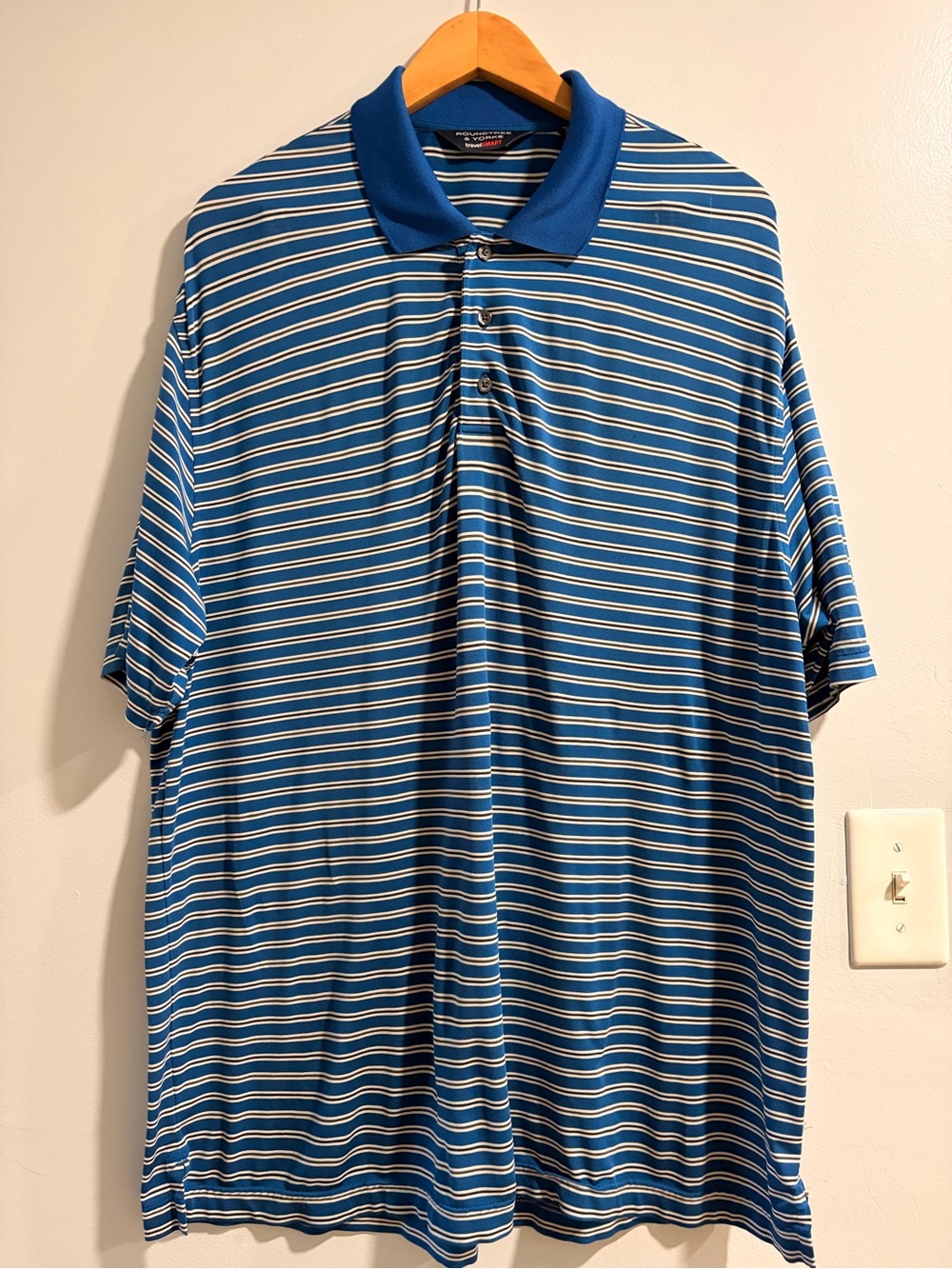 Roundtree & Yorke Blue and White Striped Polo